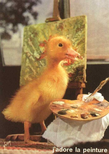 Picture of "Les aventures de Saturnin" Saturnin, le petit canard